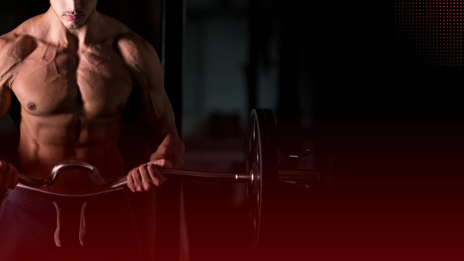 The Science Behind Muscle Growth and Recovery